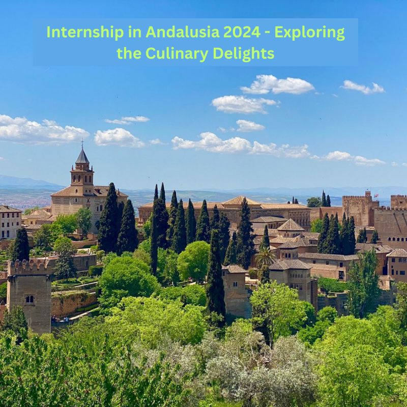 Internship in Andalusia 2024 - Exploring the Culinary Delights