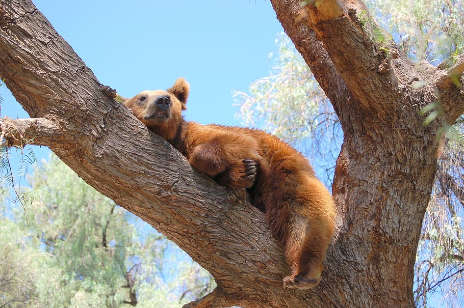 sieste en espagne