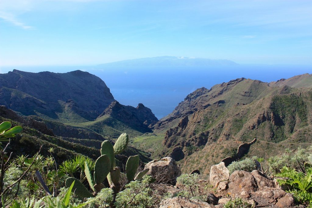 Pasantía en la cocina en las Islas Canarias 2024 - El paraíso de los amantes de la comida