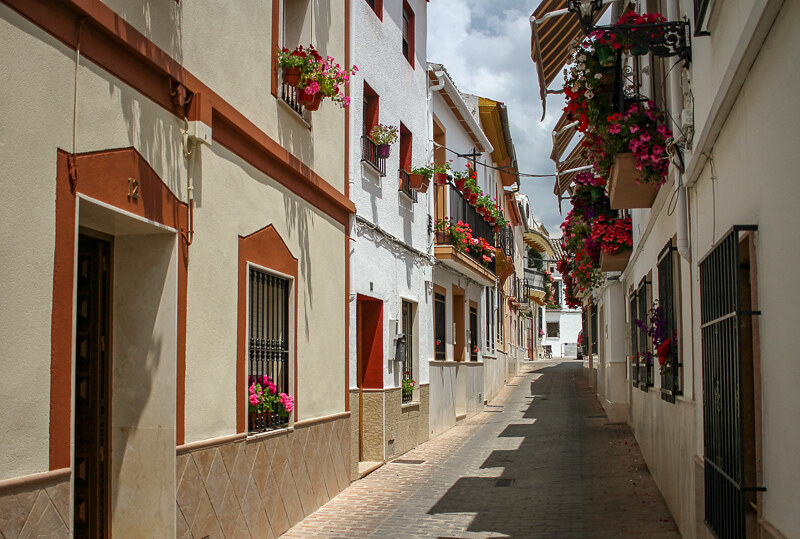 DÉLICESCULINAIRESDEL'ANDALOUSIE