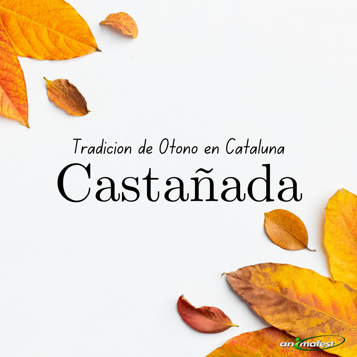 Castañada - Tradición de Otoño en Cataluña