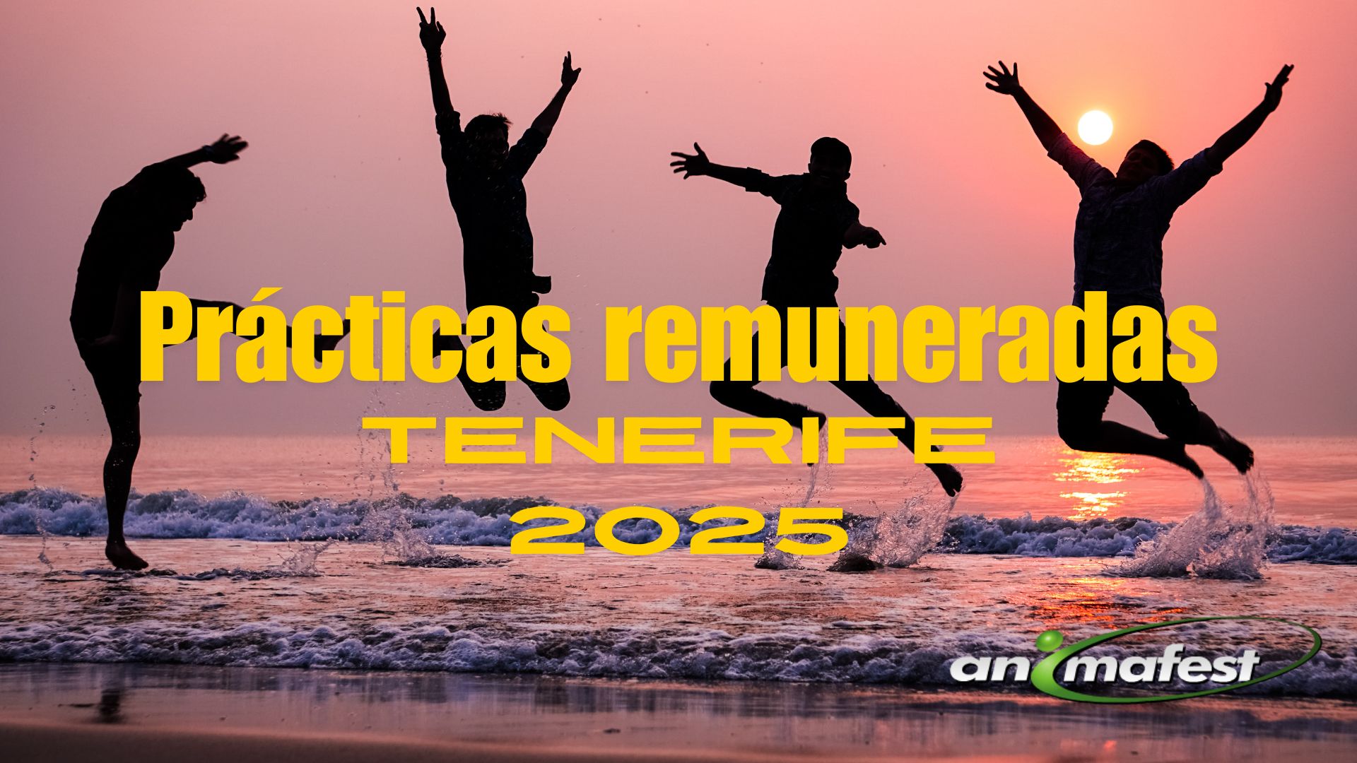 Prácticas remuneradas en Tenerife 2025 9