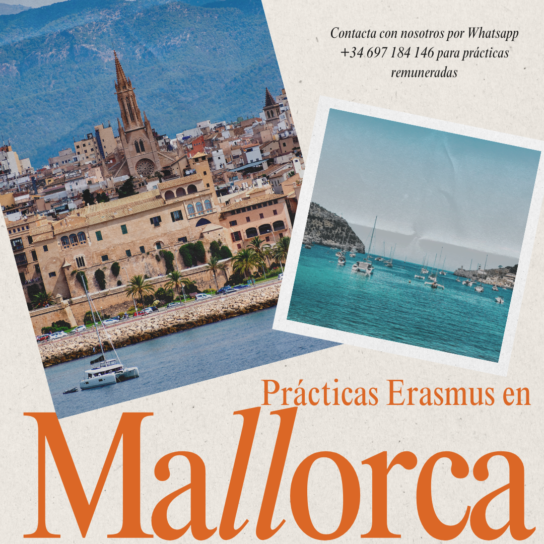Mallorca : Prácticas Erasmus en España 2025 9