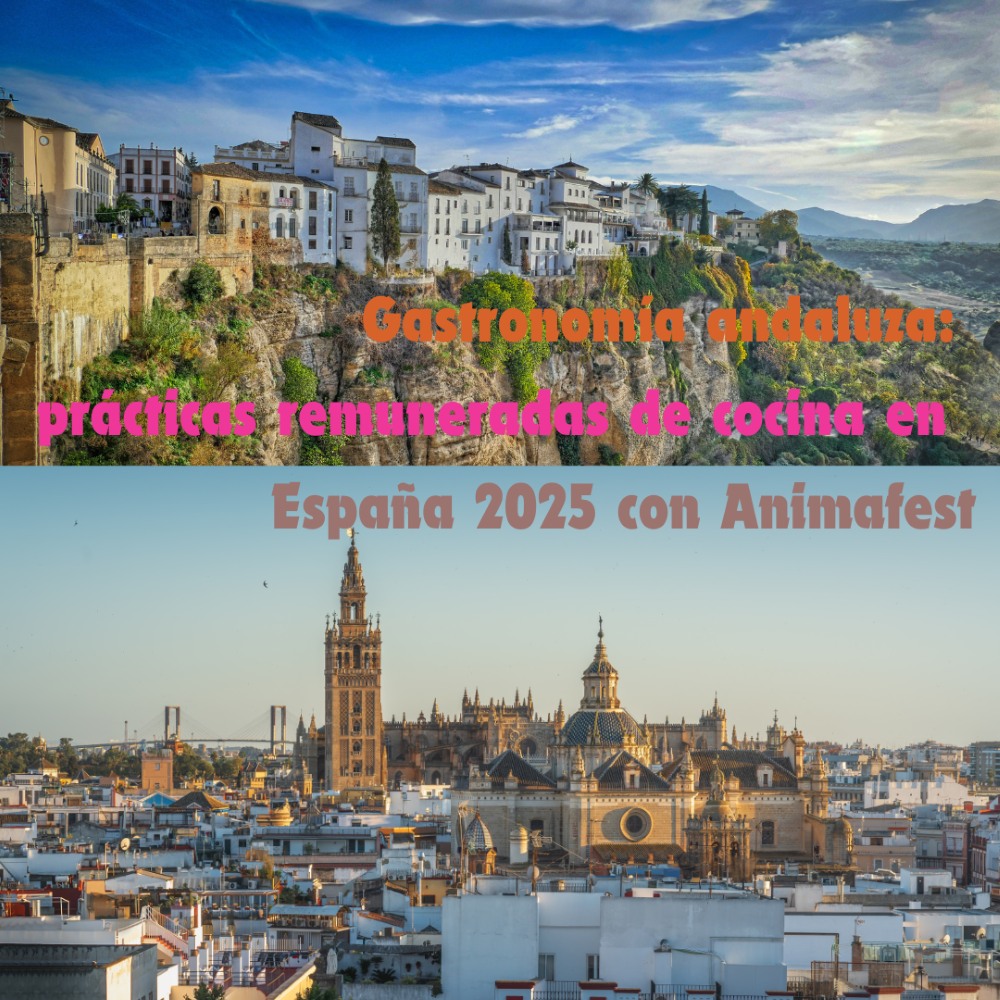 Gastronomía andaluza: prácticas remuneradas de cocina en España 2025 con Animafest 4