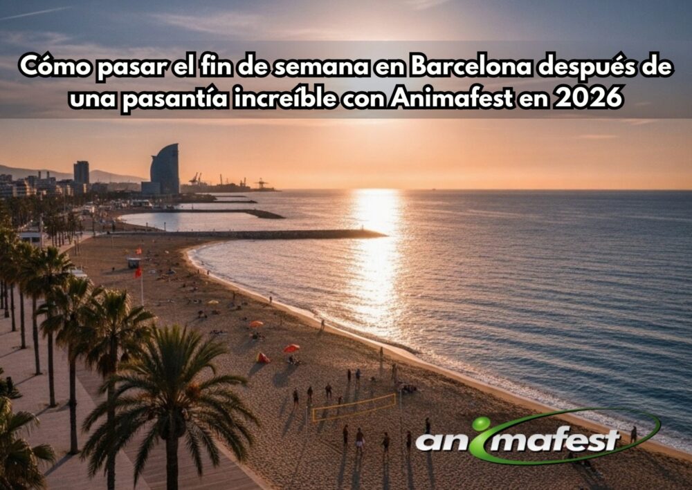 Cómo pasar el fin de semana en Barcelona después de una pasantía increíble con Animafest en 2026 4