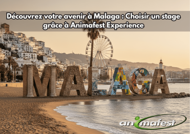 Front cover of Malaga blog FR