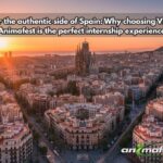 Front cover of VIGO blog How to get an internship in Spain for 2021? 5