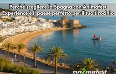 Frontpicture of Why choosing Spain with AnimafestExperience is theperfectcountryforyourinternship IT