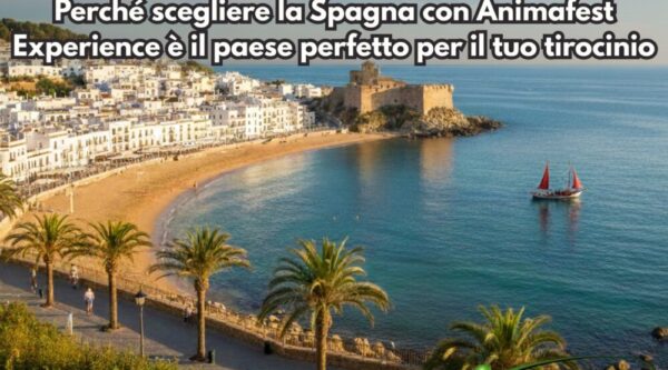 Frontpicture of Why choosing Spain with AnimafestExperience is theperfectcountryforyourinternship IT