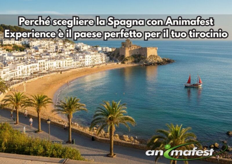Frontpicture of Why choosing Spain with AnimafestExperience is theperfectcountryforyourinternship IT
