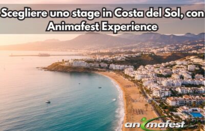 Frontpicture of Choosing an internship in Costa del Sol with Animafest