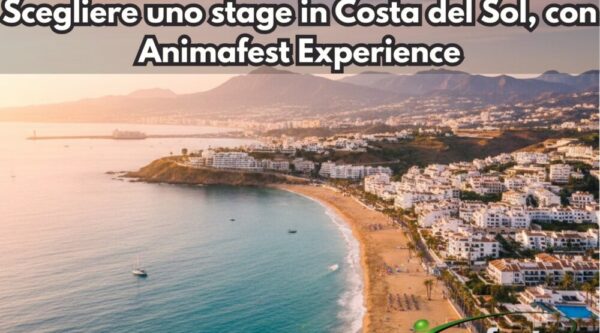 Frontpicture of Choosing an internship in Costa del Sol with Animafest