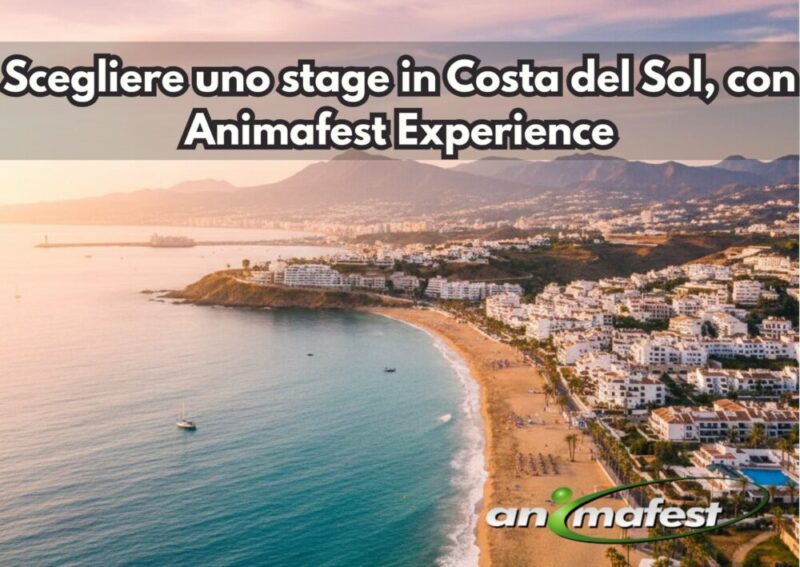 Frontpicture of Choosing an internship in Costa del Sol with Animafest