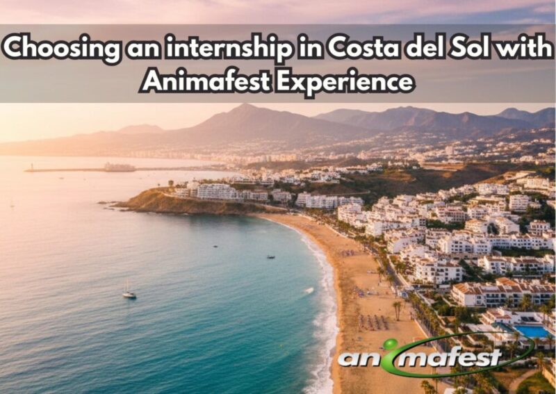 Frontpicture of Choosing an internship in Costa del Sol with Animafest