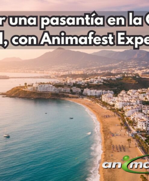 Frontpicture of Choosing an internship in Costa del Sol with Animafest