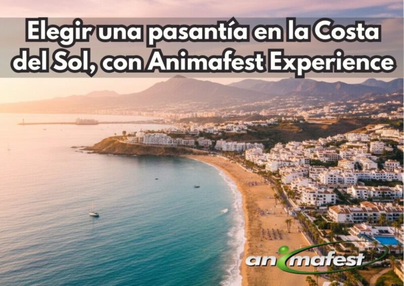 Frontpicture of Choosing an internship in Costa del Sol with Animafest