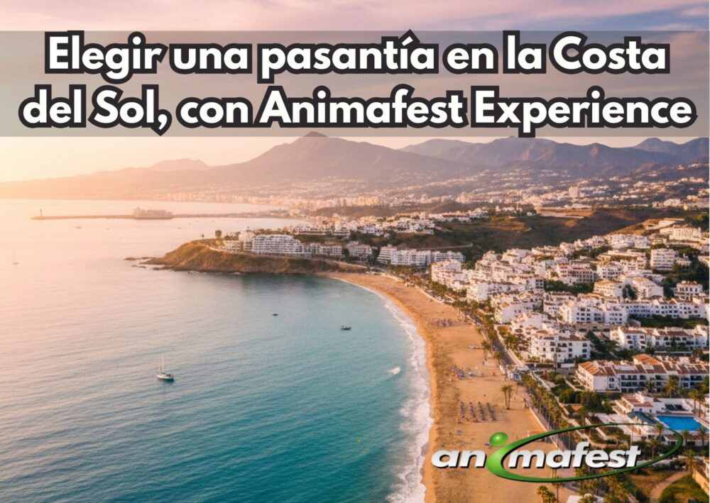 Frontpicture of Choosing an internship in Costa del Sol with Animafest