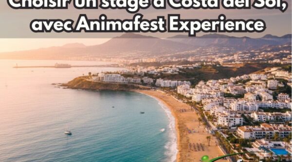 Frontpicture of Choosing an internship in Costa del Sol with Animafest