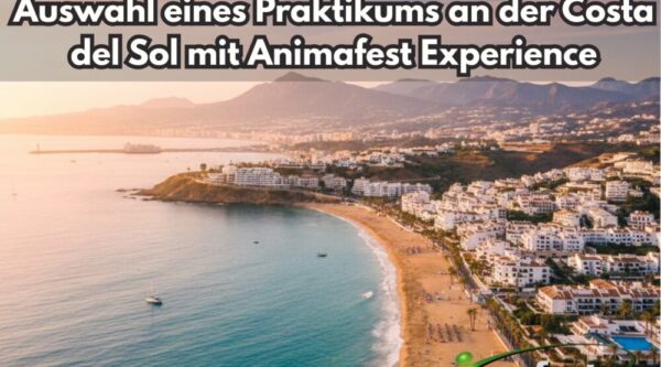 Frontpicture of Choosing an internship in Costa del Sol with Animafest DE