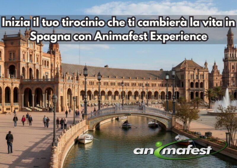 Inizia il tuo tirocinio che ti cambierà la vita in Spagna con Animafest Experience IT