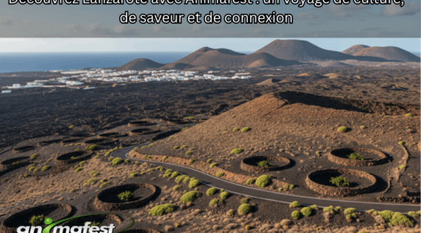 Découvrez la beauté de Lanzarote