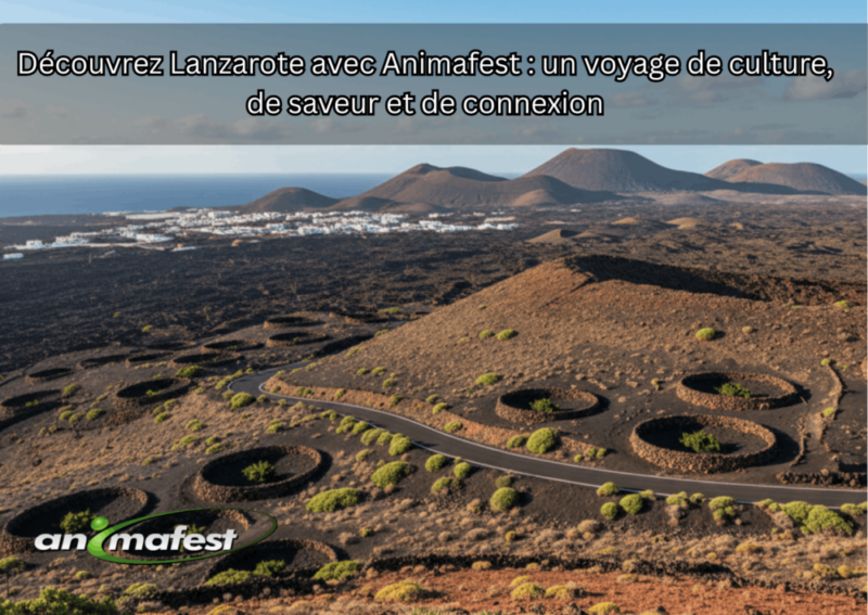 Découvrez la beauté de Lanzarote