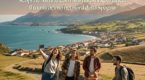 Scopri la tranquillità delle Asturie